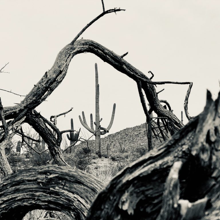 james-lee-_26zAfd2HWc-unsplash